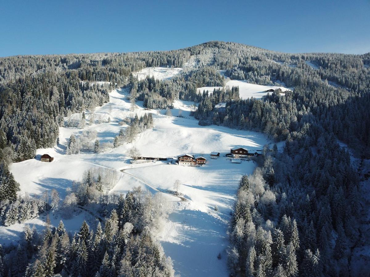 Pension Bergbauernhof Irxner Pichl-Preunegg Εξωτερικό φωτογραφία